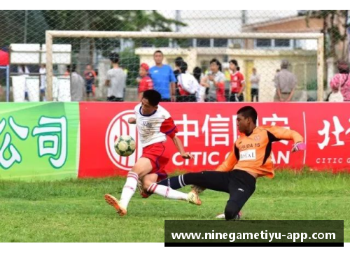 巅峰之路:球场传奇与梦想成真 巅峰之路:球场传奇与梦想成真